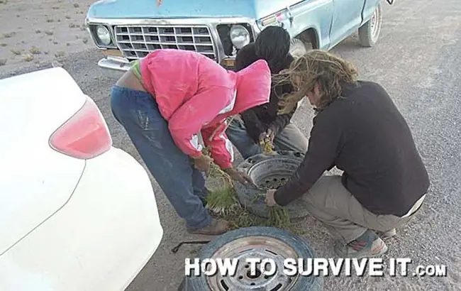 Emergencia