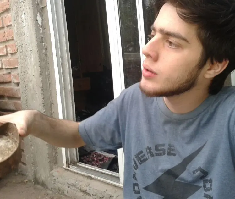 Mi gata tumbera tuvo crias y no se que hacer, ayudenme
