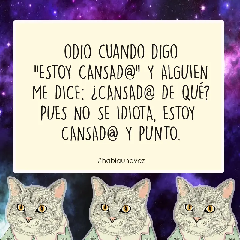 La gata que se cansó de estar esperando al gato!