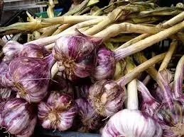 asombrosos