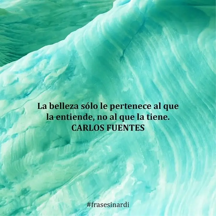 citas citas