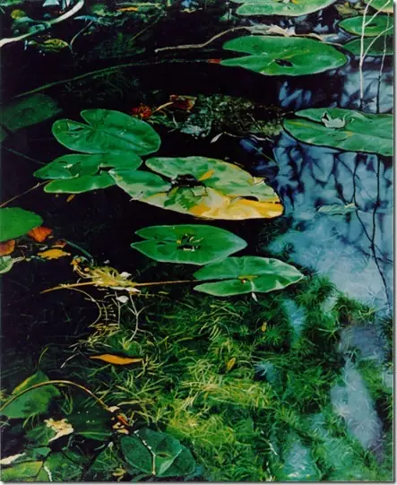 exodo