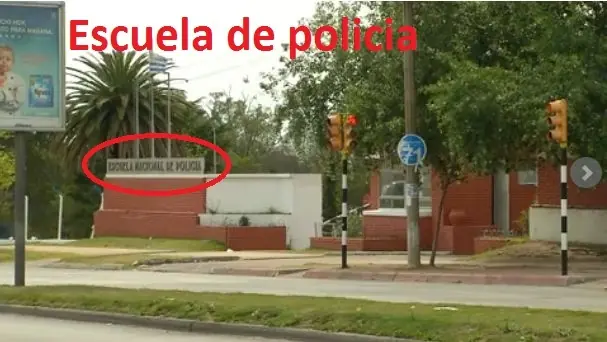 bonomi