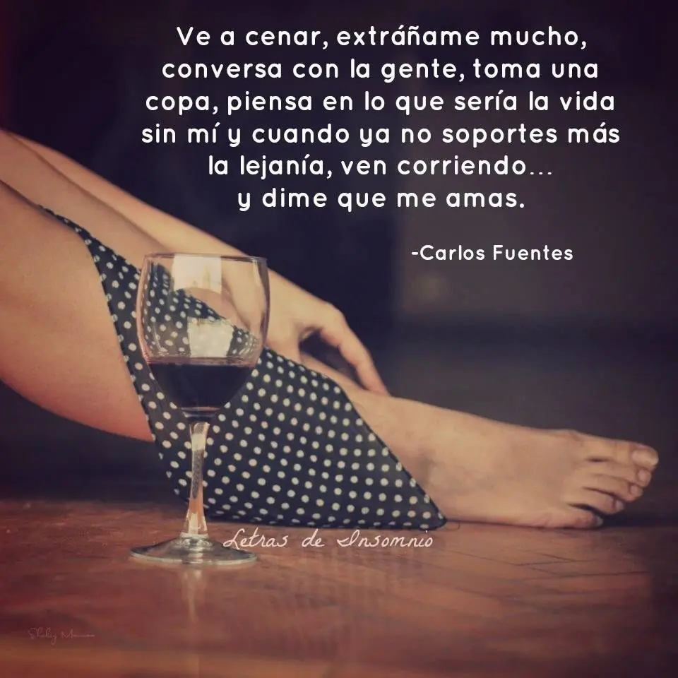Frases de Carlos fuentes, Un Mexicano de Corazón Frases de Carlos fuentes, Un Mexicano de Corazón