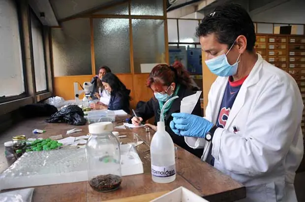 ciencia