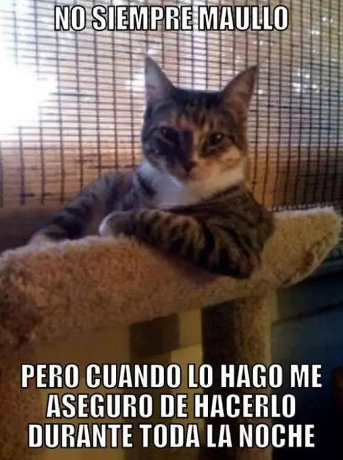 Si no te reis con alguna imagen no tenes sentido del humor..