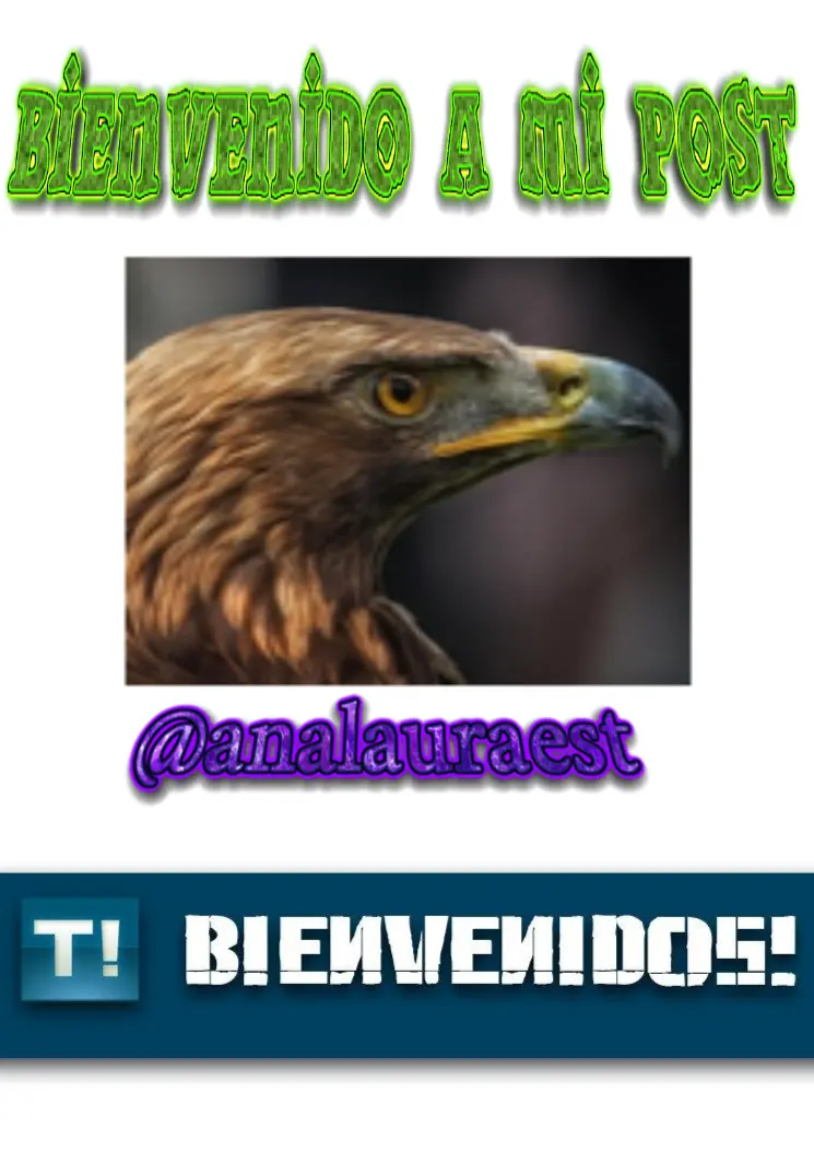 Juegos gratis en steam, PS4 Y XBOX!