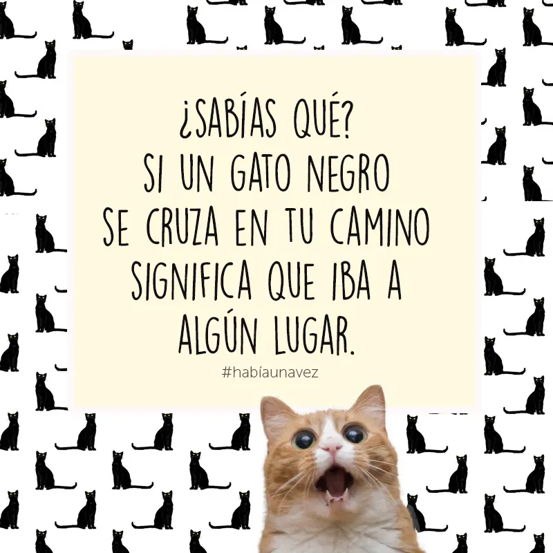 frases de humor