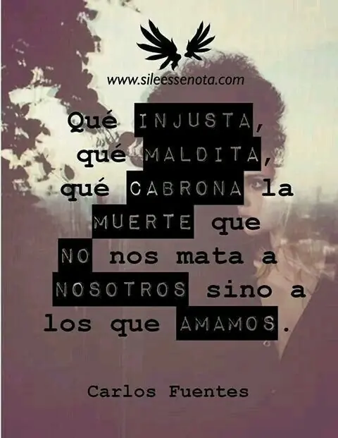 citas citas