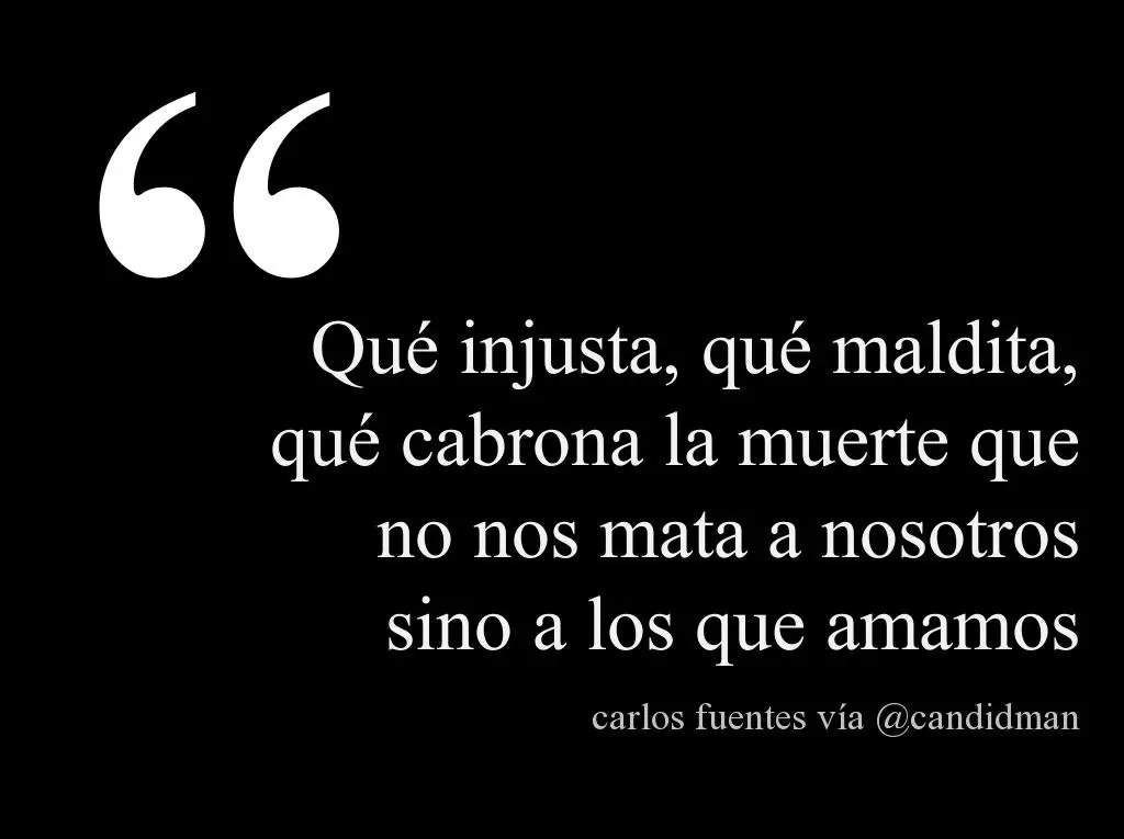 Frases de Carlos fuentes, Un Mexicano de Corazón Frases de Carlos fuentes, Un Mexicano de Corazón
