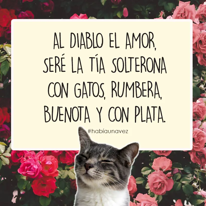 La gata que se cansó de estar esperando al gato!