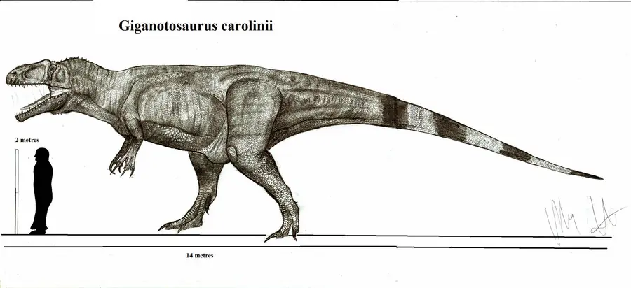 paleontologia