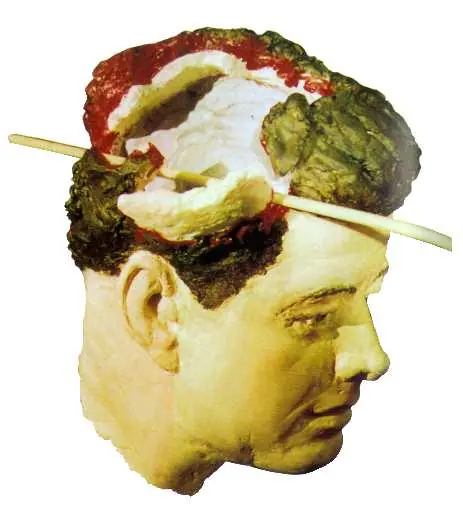 lee harvey oswald