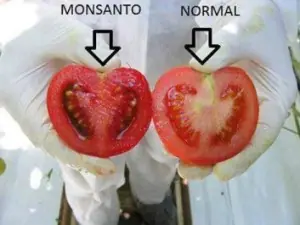 danos a la salud danos a la salud