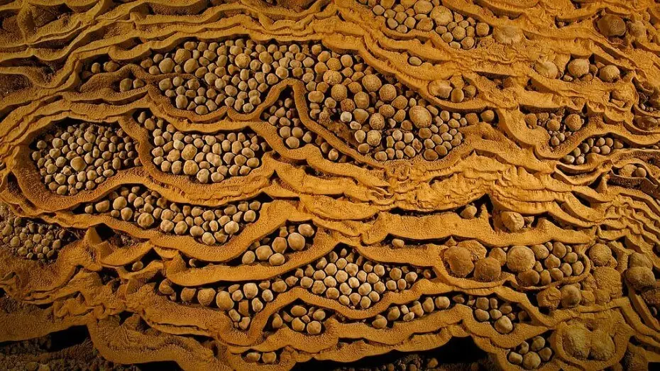 La cueva más grande del mundo....