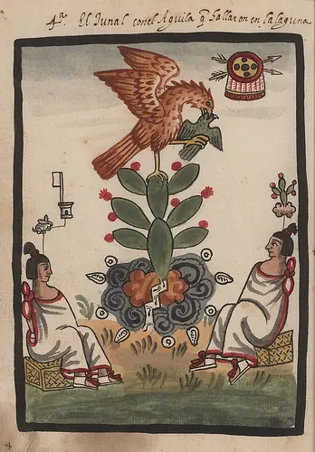 colonización