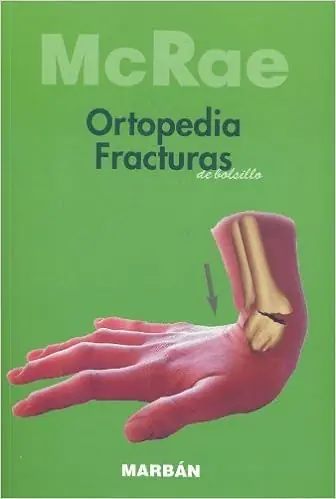 anatomia