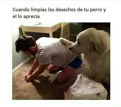 imagenes graciosas
