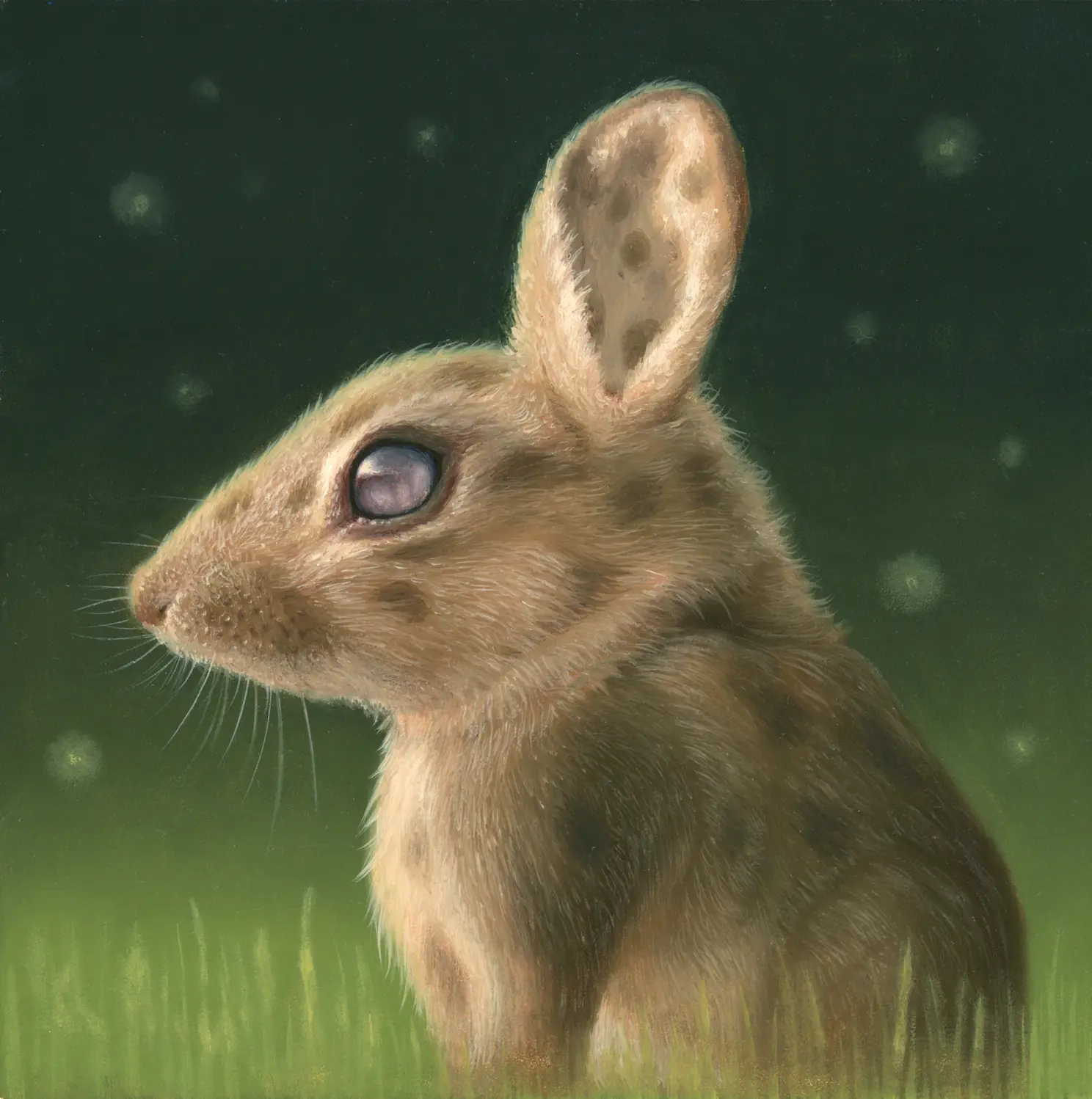ilustracion