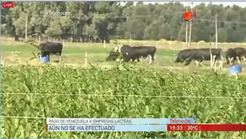 venezuela venezuela