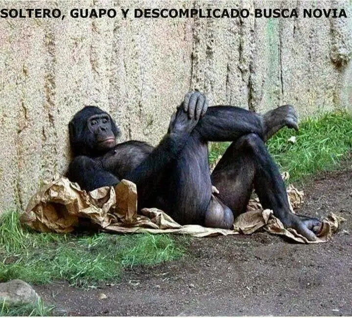 chicasexy