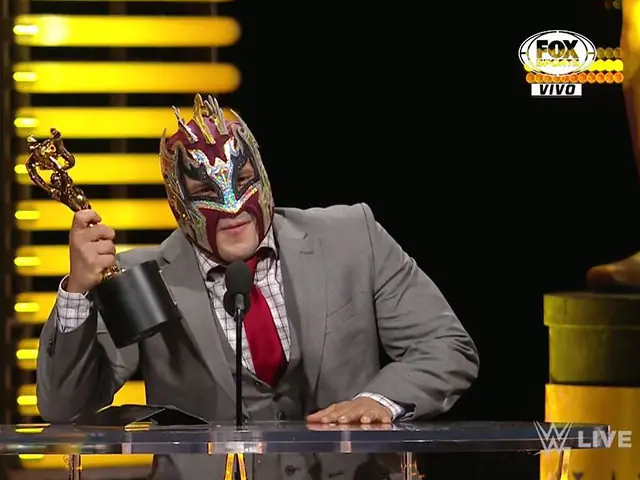 lucha lucha