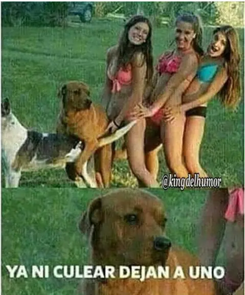 humor