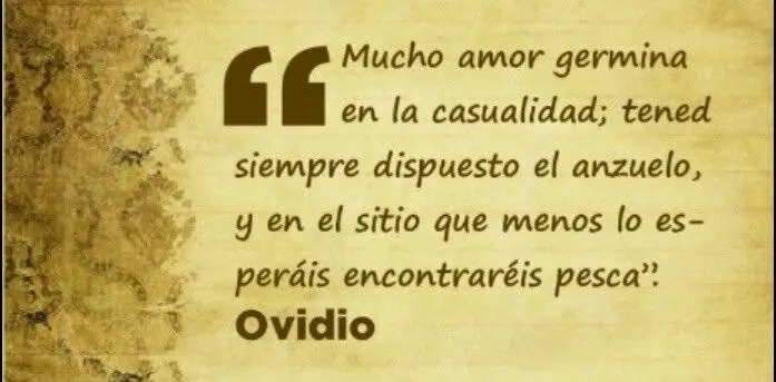 citas