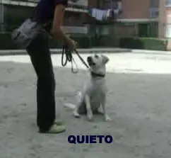 perrera