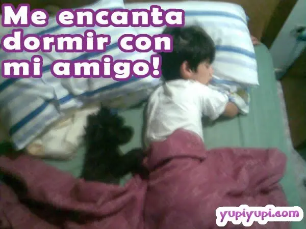 cuidar