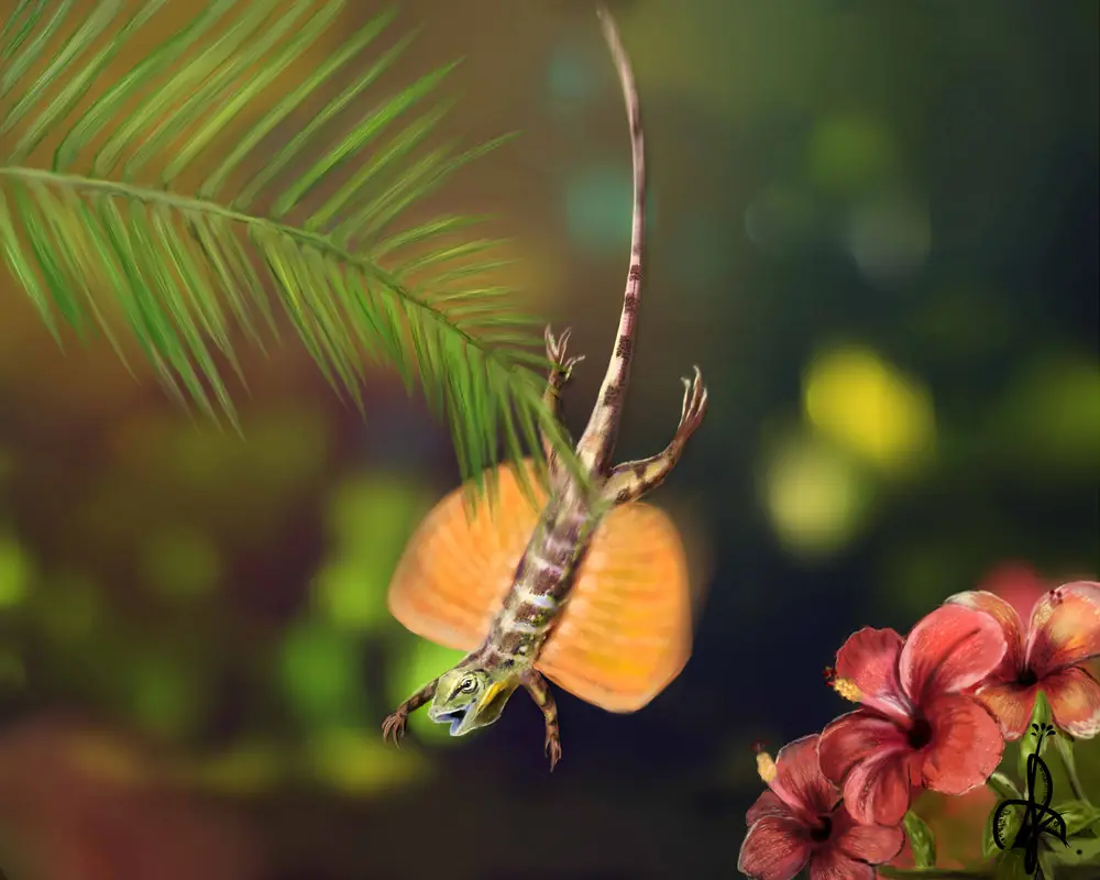 reptil