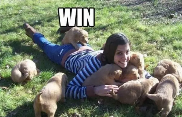 perro