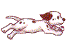 Animales