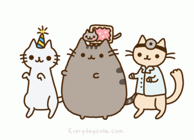 Te enseño a atrapar gatos (no apto asiáticos)