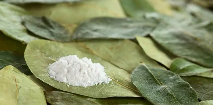 Historia de la Cocaína