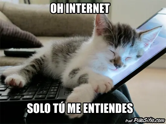 memes