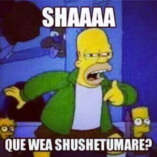 7 razones para pasar un año en Chile según un joven irlandés