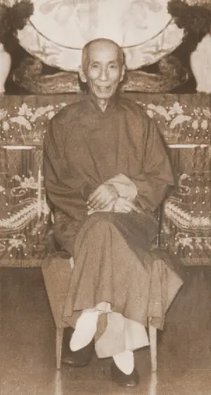 bruce lee