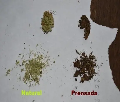 Diferencias entre Marihuana prensada y natural.