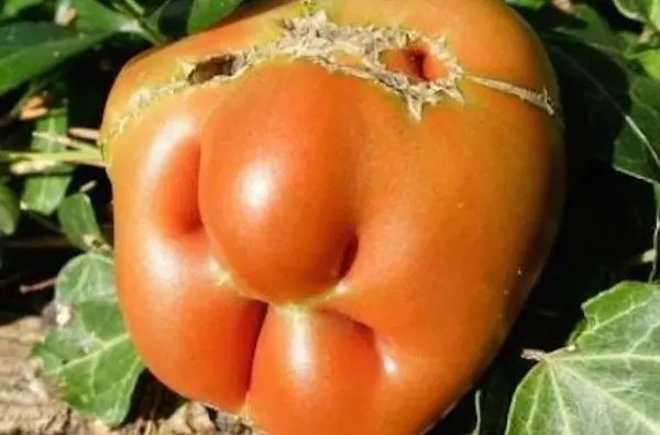 glutation