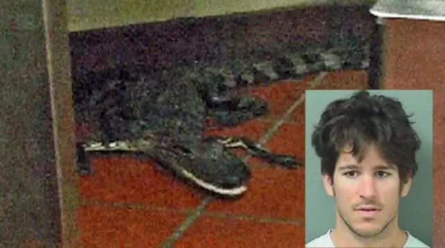 Fue a un restaurante y le tiró un cocodrilo al mozo