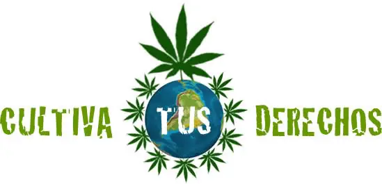 Diferencias entre Marihuana prensada y natural.