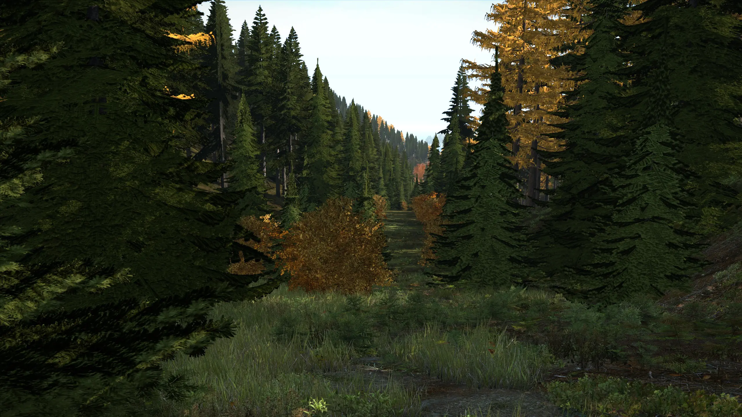 [Info] DayZ Standalone todo lo que necesitas saber