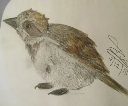 Dibujos nuevos (2)