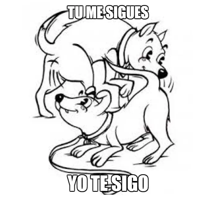 imagen imagen