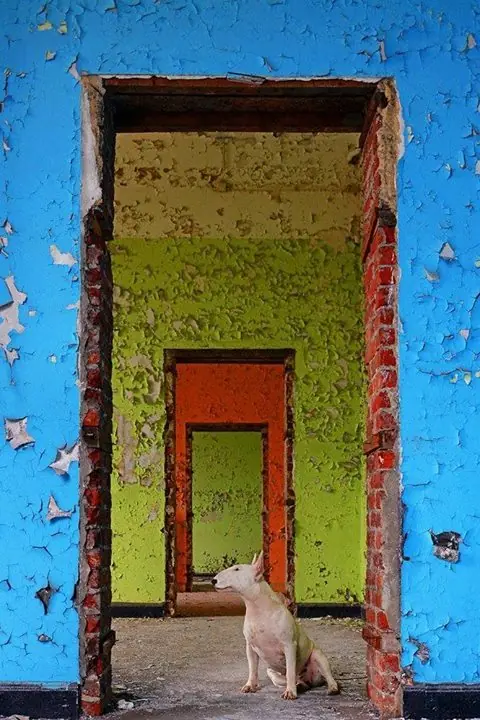 fotografo fotografo