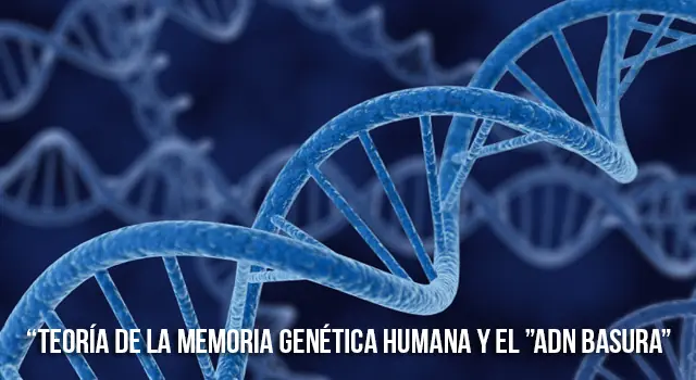 [IC] La manipulación del Ser Humano, y su verdadero origen.