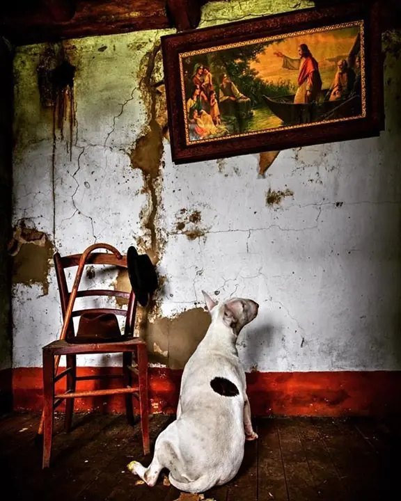 arte arte