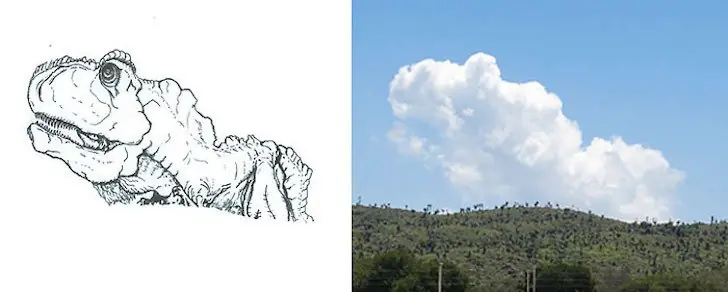 argentino argentino