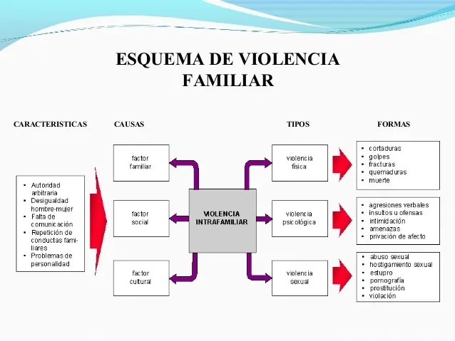 Directivas abordaje eventos de violencia familiar - Policia